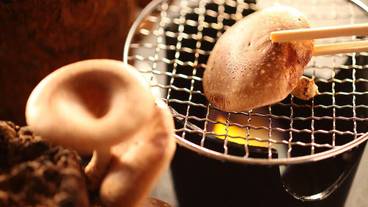 食事・飲み物 / 30