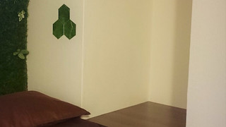 ジュニア ダブルまたはツインルーム シングルベッド 2 台 禁煙 共用バスルーム