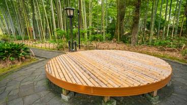 竹林の小径 ベンチ / 3