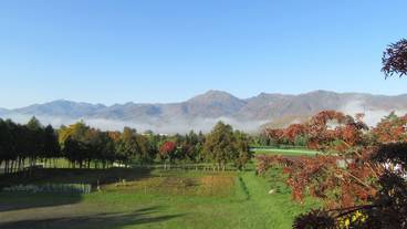 施設からの眺望 / 13