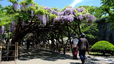 観光スポット / 10