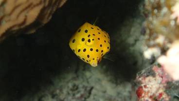 施設の敷地 / 14