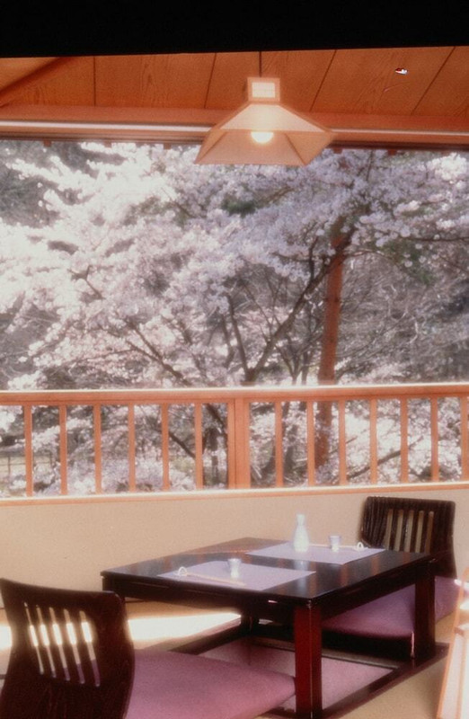 部屋からの景観