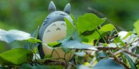 ジブリの世界に浸って歩く♪童心に返る全国のトトロスポット7選