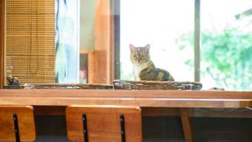 施設内の設備 / 32