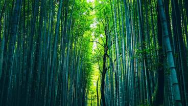 観光スポット / 10