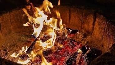 バーベキュー / ピクニック エリア / 20