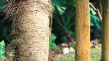 施設からの眺望 / 14