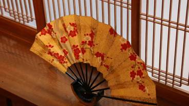 内装の詳細 / 16