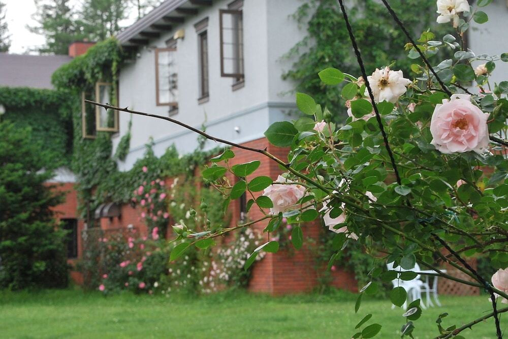 メイン イメージ