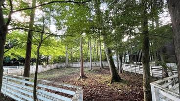 ペット用設備・サービス / 1