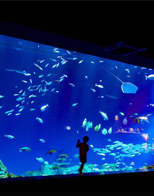 akyeeeee.nさんの写真 / 2