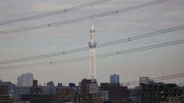 施設からの眺望 / 17