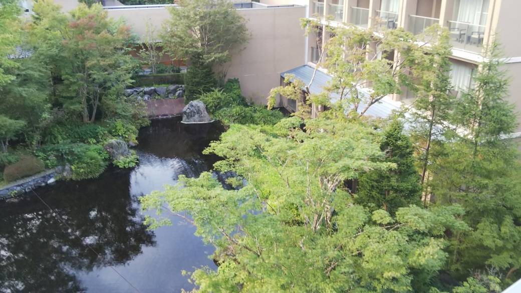 早朝散策＆足湯で
爽やかな1日の始まり / 2