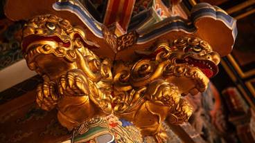 建物のデザイン / 15