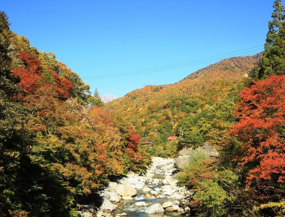 マウンテン ビュー