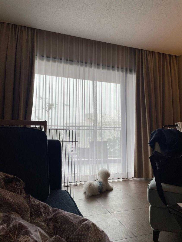 「ペット対応ルーム」には、ステンレス製食器、掃除機、粘着ローラー、消臭剤、ゴミ箱、シーツ4枚、タオル2枚、バスタオル2枚、ペットサークルが完備。ペット用の荷物を減らせるのが嬉しい / 2