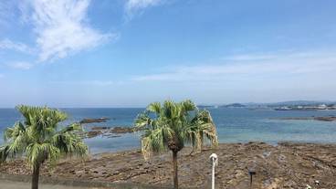 部屋からの景観 / 37