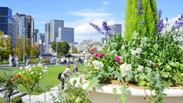 中之島バラ園 / 2