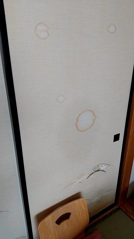 シミなど劣化したところが散見されます