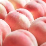 体験して味わって…楽しみ方は無限大♪ 美味しさ以上の幸せ満ちるグルメ旅