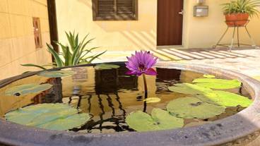 テラス / パティオ / 7