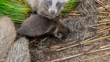 施設からの眺望 / 22
