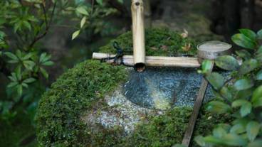 施設の敷地 / 11