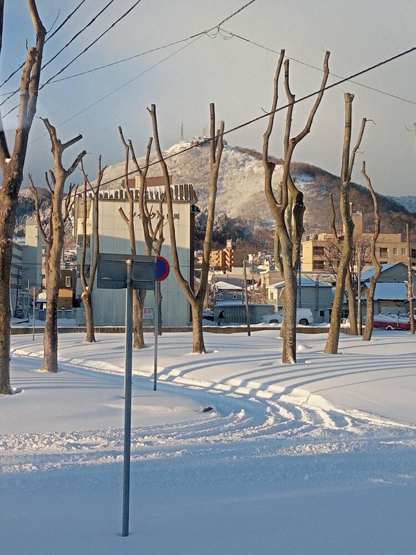 スノー スポーツとスキー