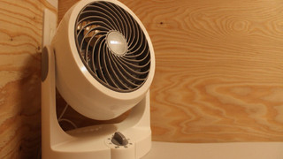 男女共用ドミトリー内 2段ベッド1台