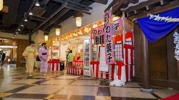 子供用の遊び場 - 屋内 / 8