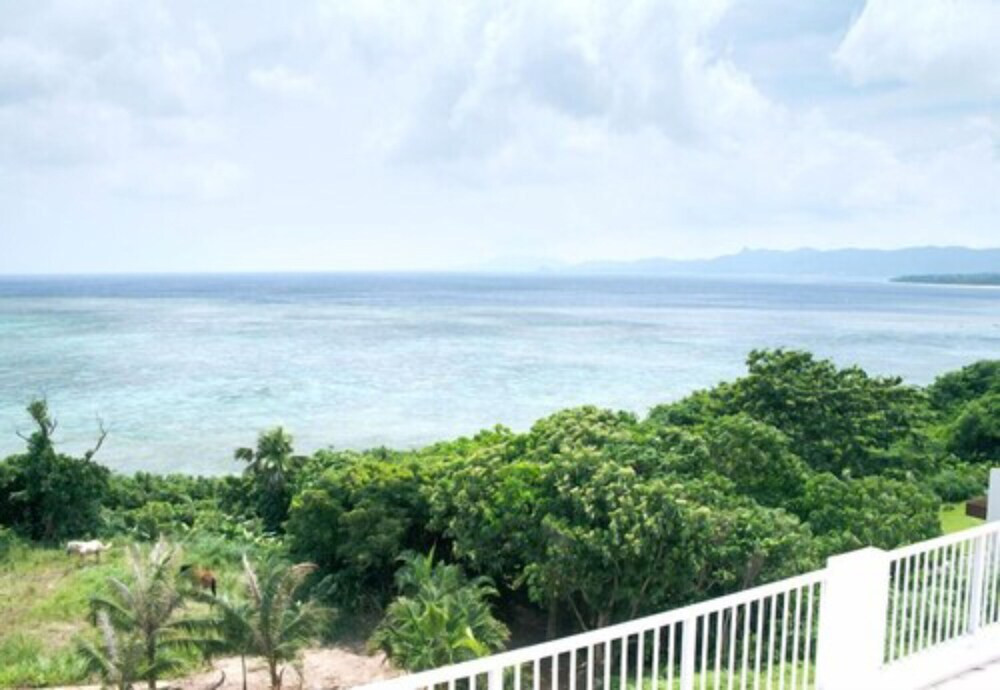 施設からの眺望