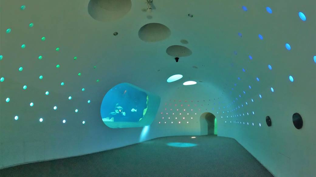 「うみたまご」のトンネル水槽 / 4