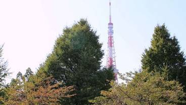 観光スポット / 9