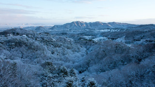 和室 布団 禁煙 マウンテンビュー