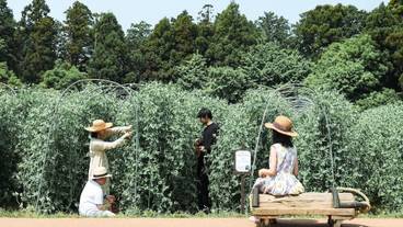 子供向けアクティビティ / 11