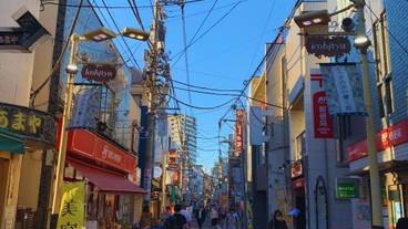 施設からの眺望 / 17