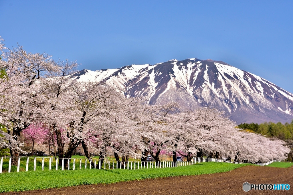 一足延ばして「小岩井農場」2015495