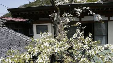 施設からの眺望 / 16