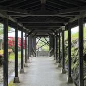白水温泉 竹の倉山荘（熊本県 旅館） / 5