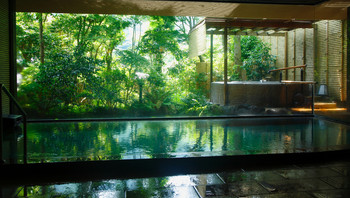 海石榴 つばき3391011