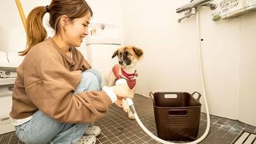 ペット用設備・サービス / 3