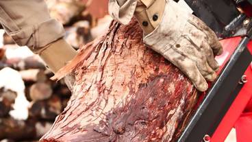 施設内の設備 / 7