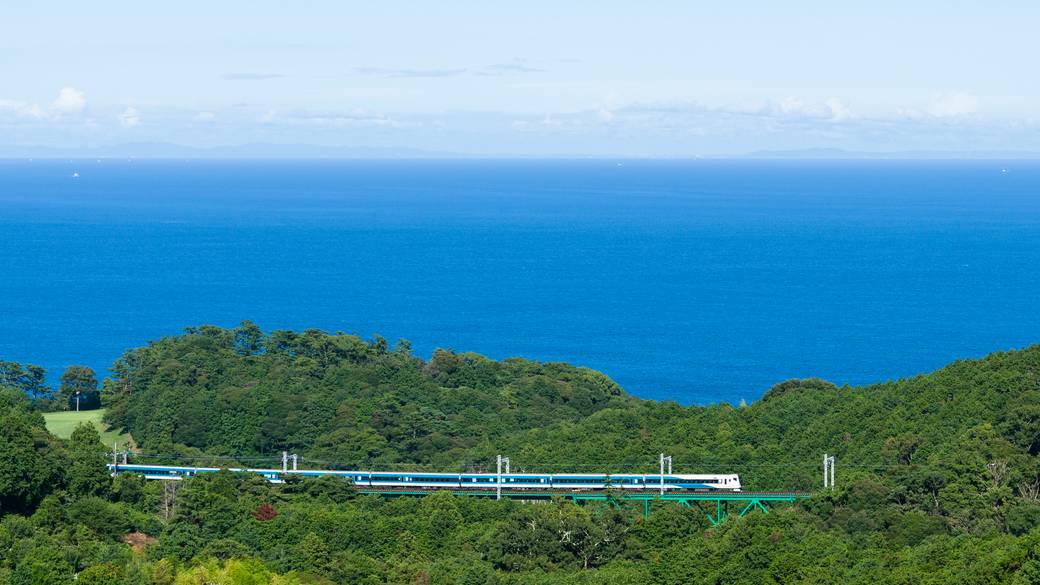 特急踊り子号 / 1