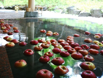 「界　アルプス」 その他 13850695 