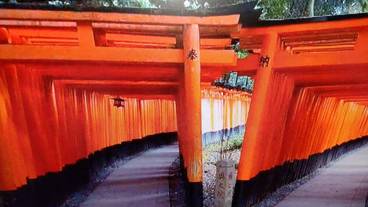 観光スポット / 29