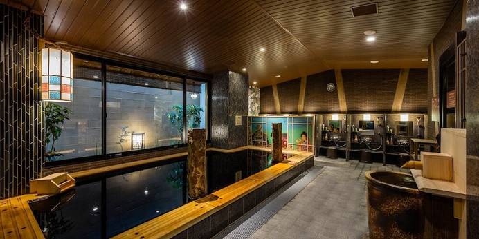 天然温泉 凌雲の湯 御宿 野乃浅草（東京都 ビジネスホテル） / 1