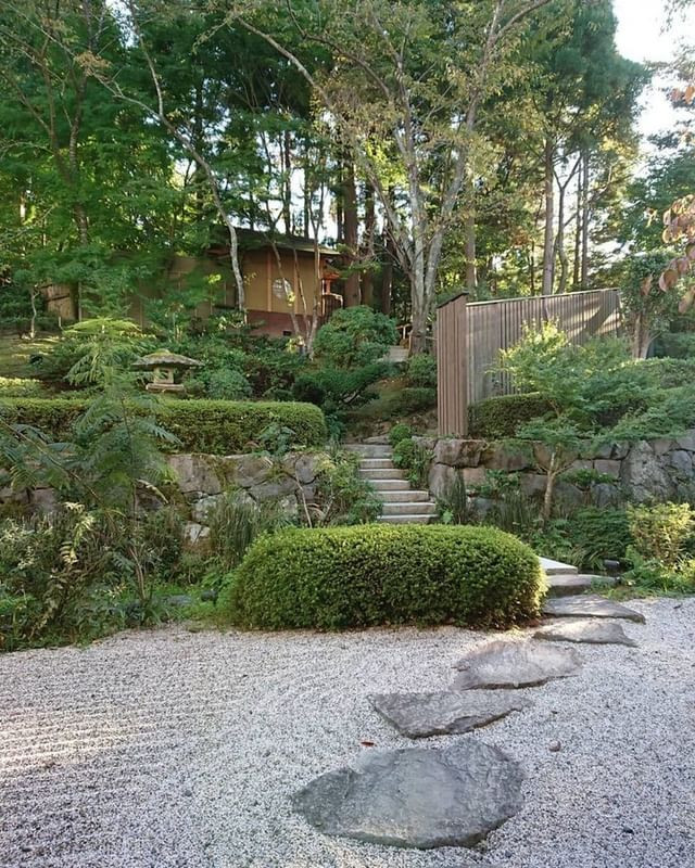 usakonchanさんの写真 / 1