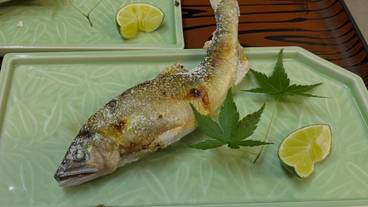 食事・飲み物 / 6