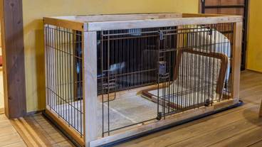 ペット同伴可 / 8